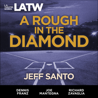 A Rough in the Diamond Cover Art