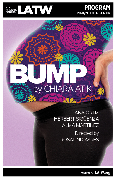 Bump-Program-R3V1.jpg