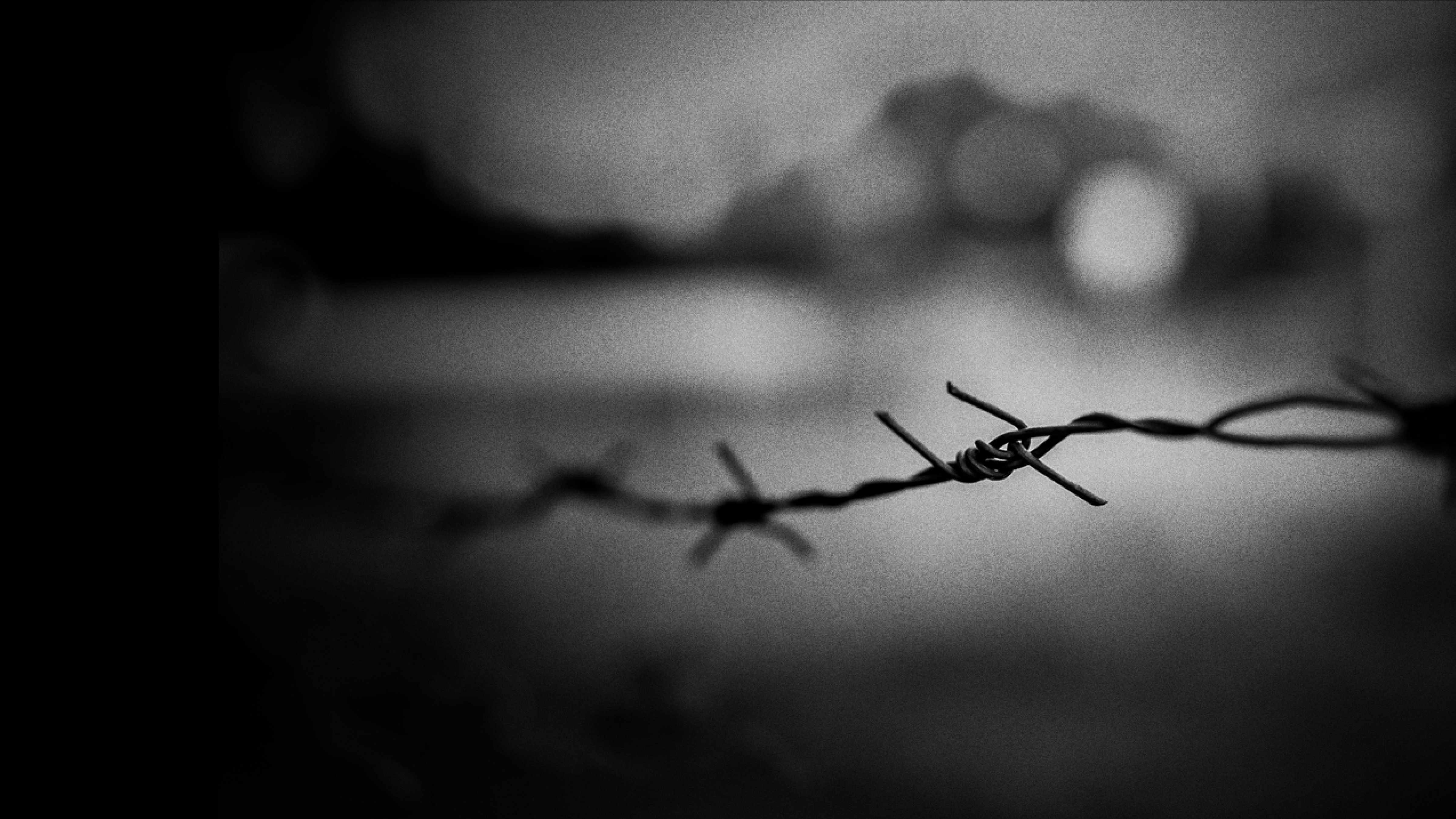auschwitz